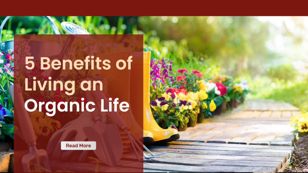 Benefits of Living an Organic Life